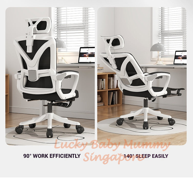 Fully Adjustable Ergonomic Mesh Office Chair