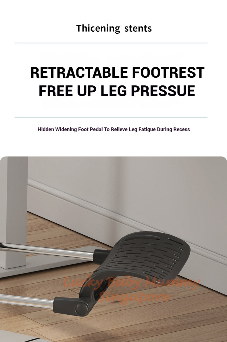 Fully Adjustable Ergonomic Mesh Office Chair