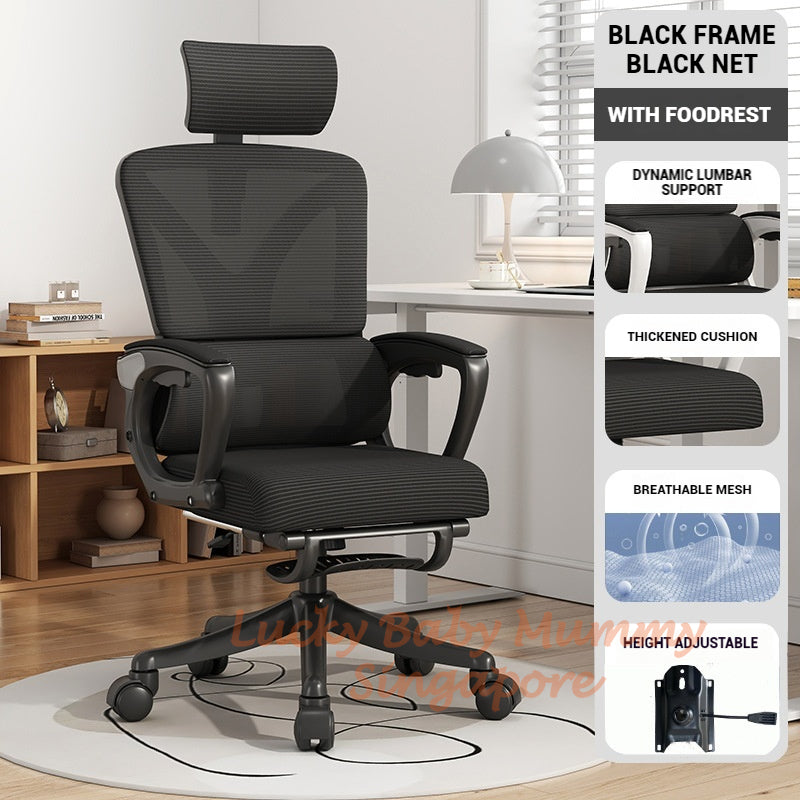 Fully Adjustable Ergonomic Mesh Office Chair