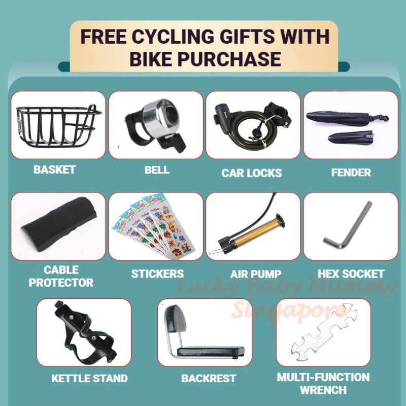 Phoenix 20 Inch Foldable Bicycle Bike