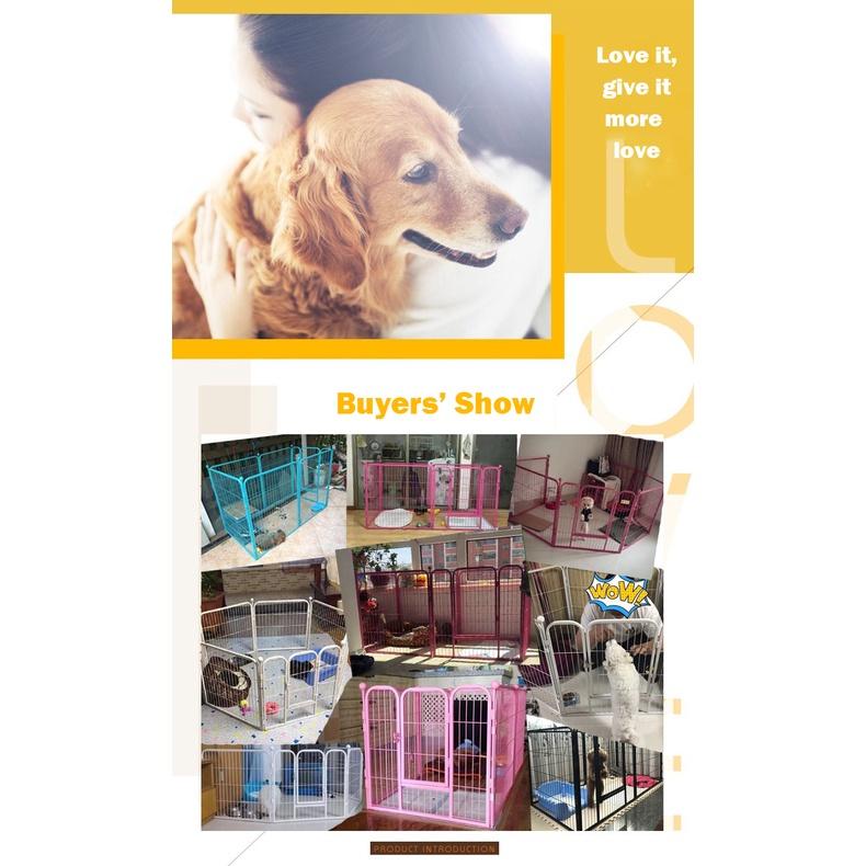 Metal Foldable Pet Safety Gate