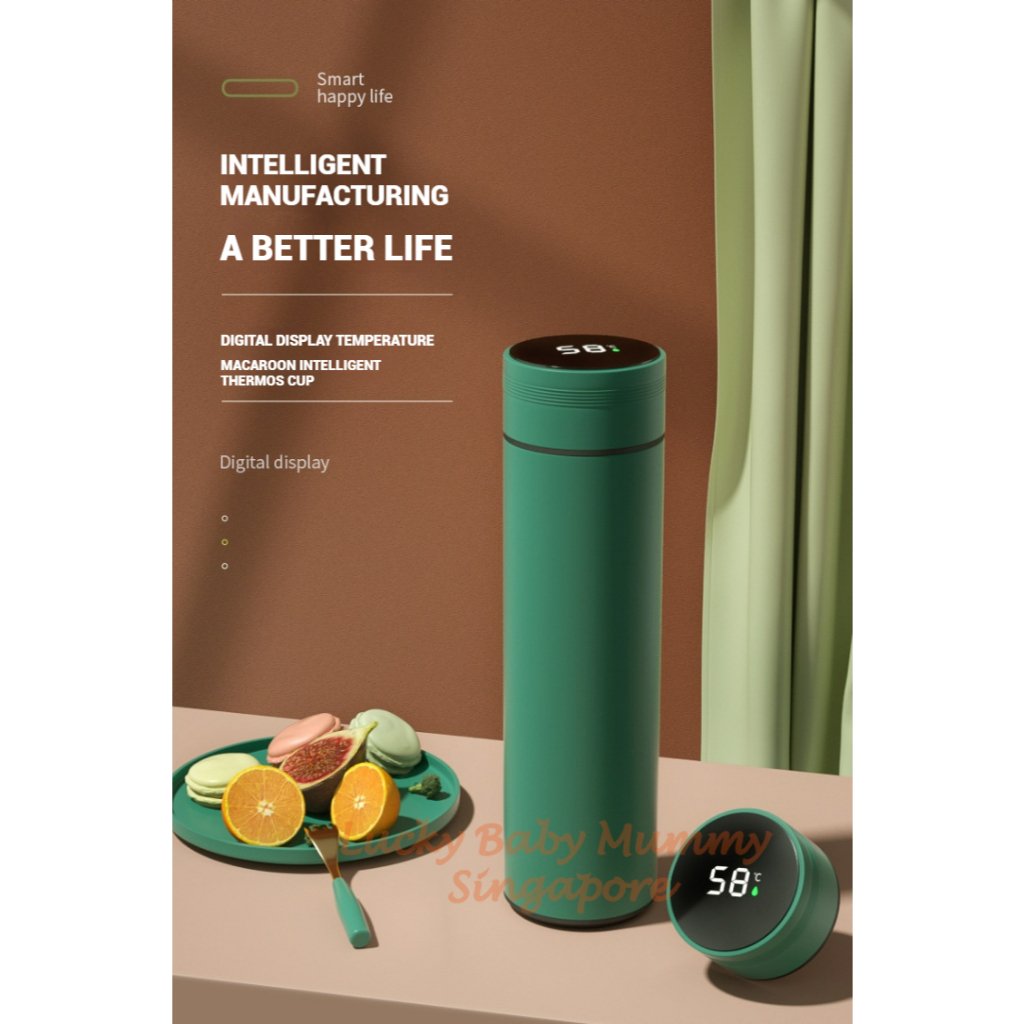 Smart LED Temperature Display Macaron Thermal Bottle with Insulated Bottle Cup 316 Stainless Steel Waterbottle / Water Bottle / Flask