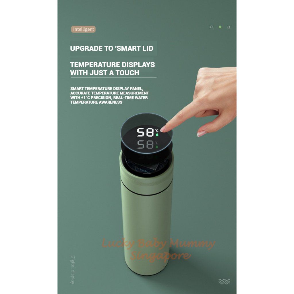 Smart LED Temperature Display Macaron Thermal Bottle with Insulated Bottle Cup 316 Stainless Steel Waterbottle / Water Bottle / Flask