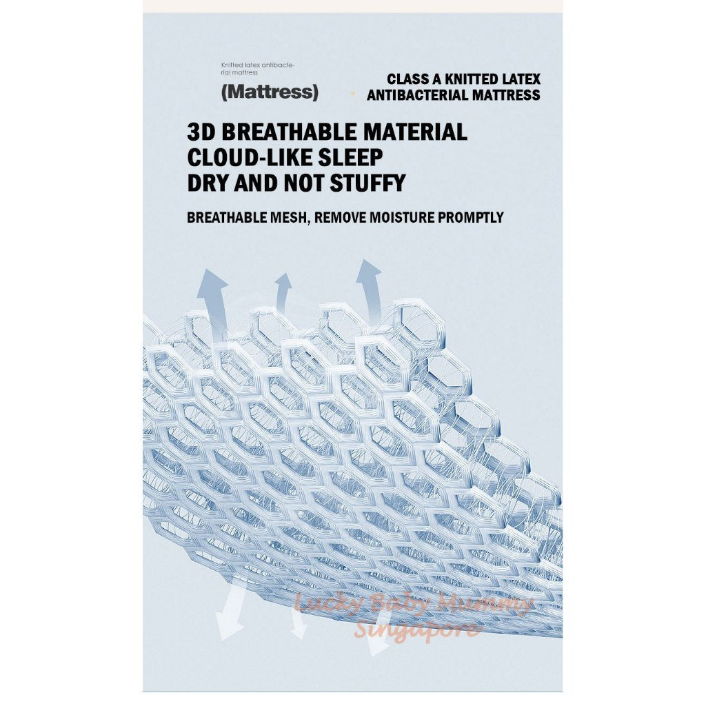 Elastic Band Knitted Latex Mattress Topper