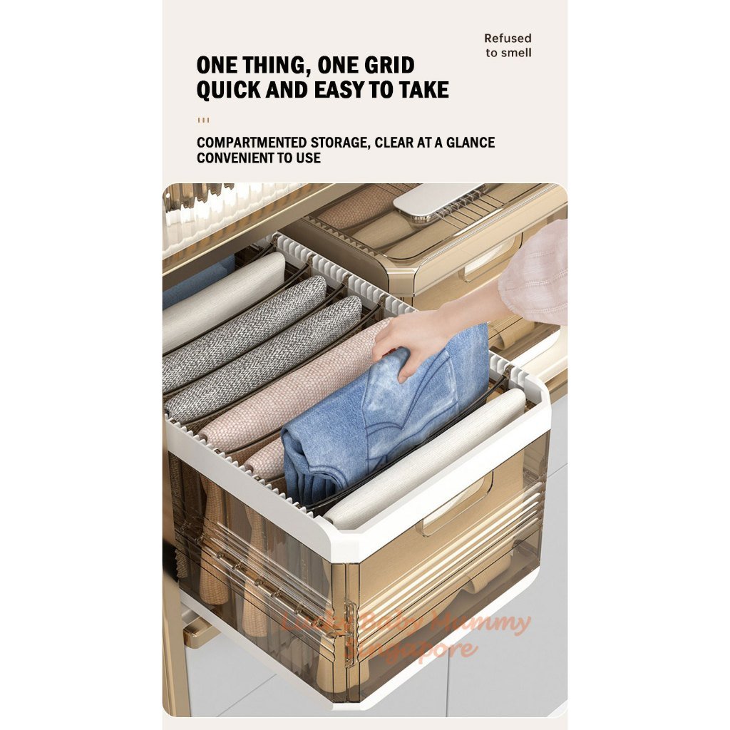 Pants Storage Drawer with Removable Partition