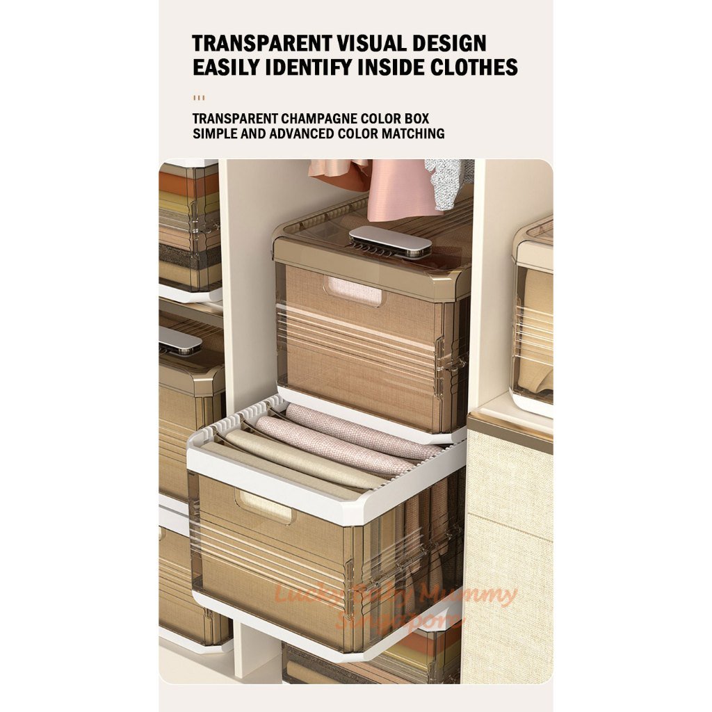 Pants Storage Drawer with Removable Partition