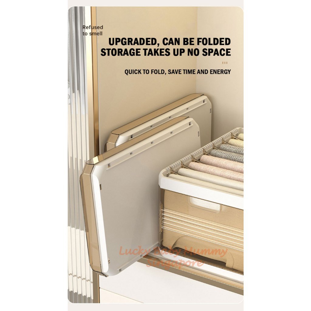 Pants Storage Drawer with Removable Partition