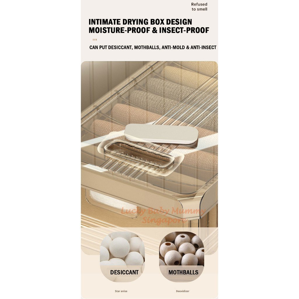 Pants Storage Drawer with Removable Partition