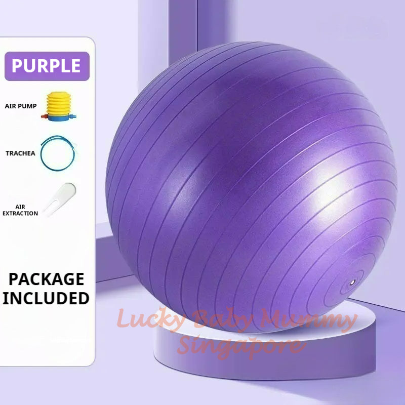PVC Fitness Yoga Ball With Air Pump/Gym Fitness Balance Ball for Stretching Yoga Pilates