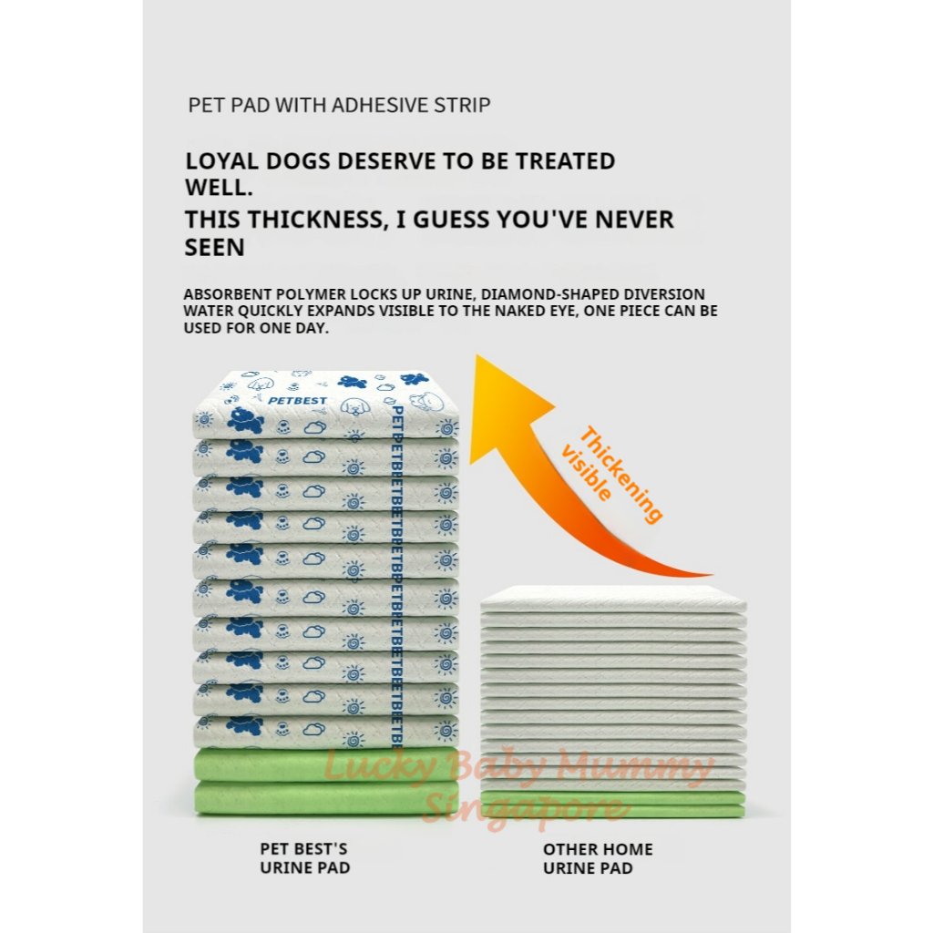 Pet Pad with Adhesive Strip