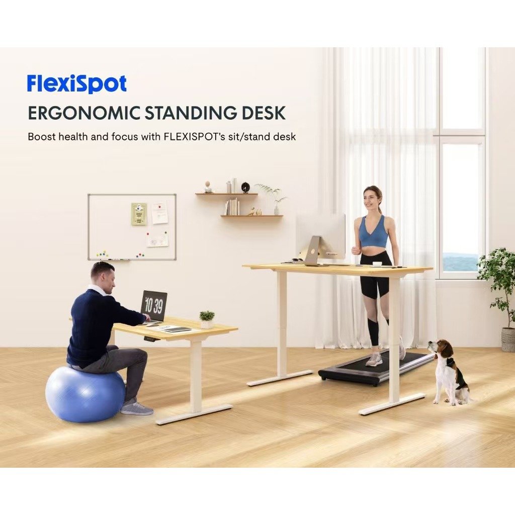 Electric Lifting Desk