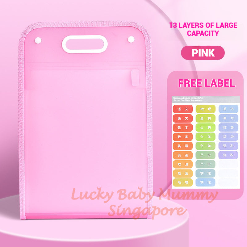 A4 File Organizer Bag