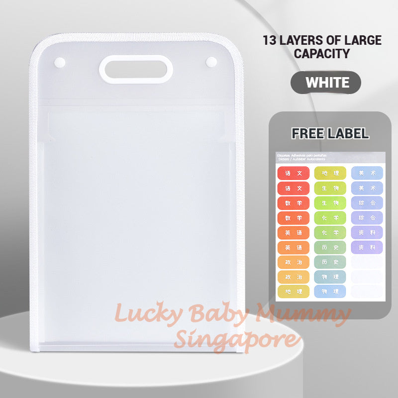 A4 File Organizer Bag