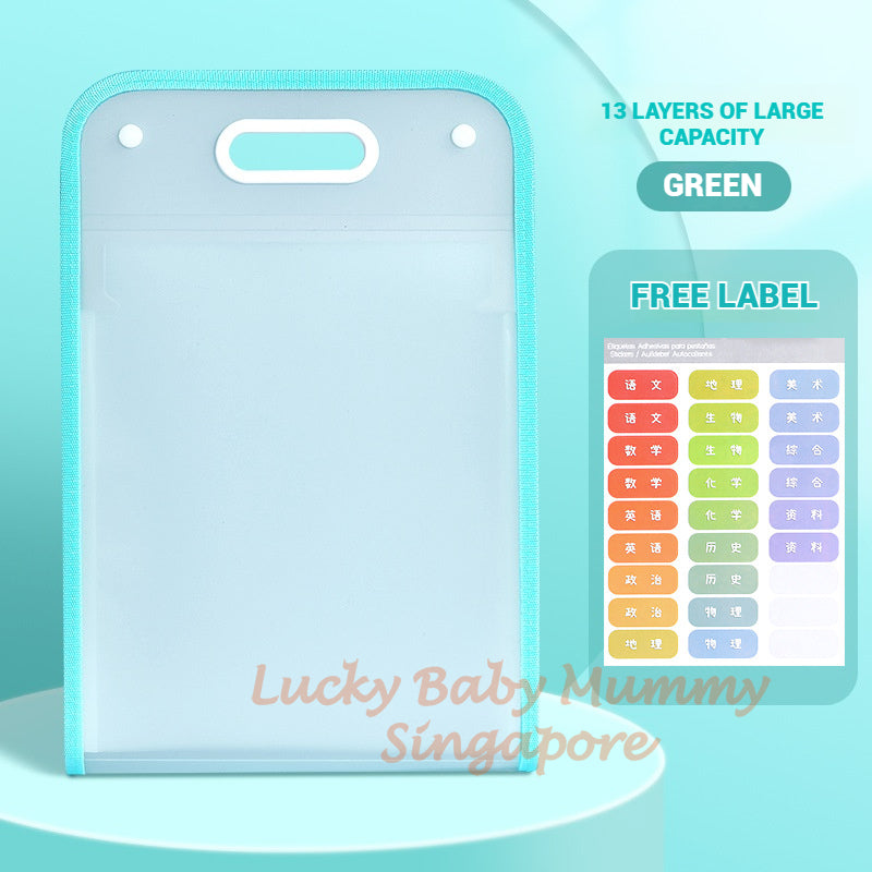 A4 File Organizer Bag