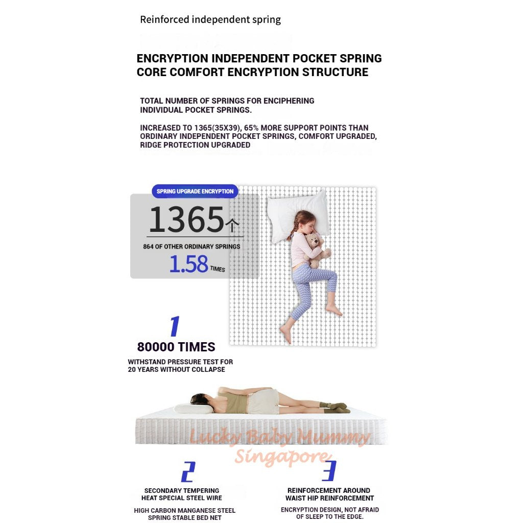 【CLEARANCE】Blue Box Spring Mattress