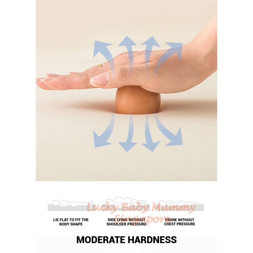 Latex Cotton Mattress