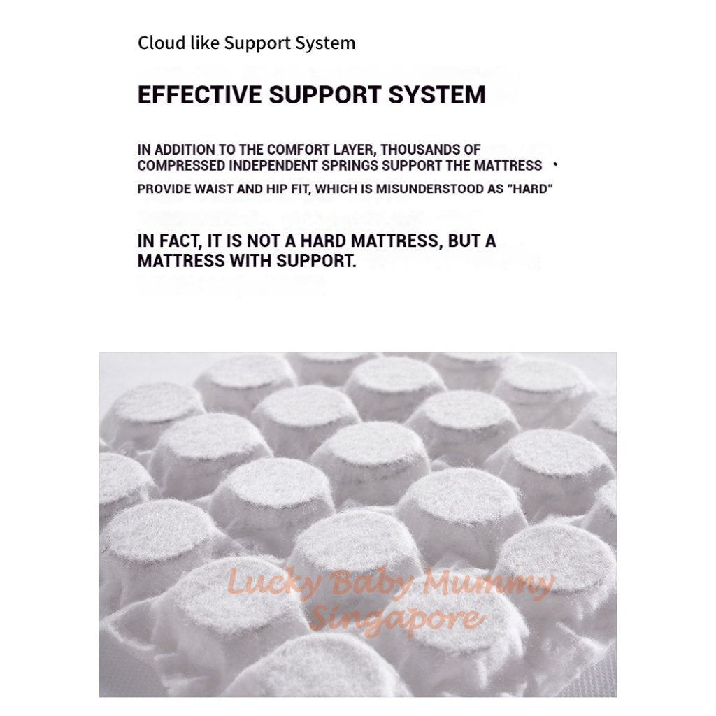 【CLEARANCE】Blue Box Spring Mattress