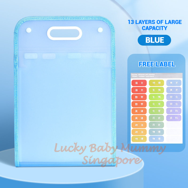 A4 File Organizer Bag