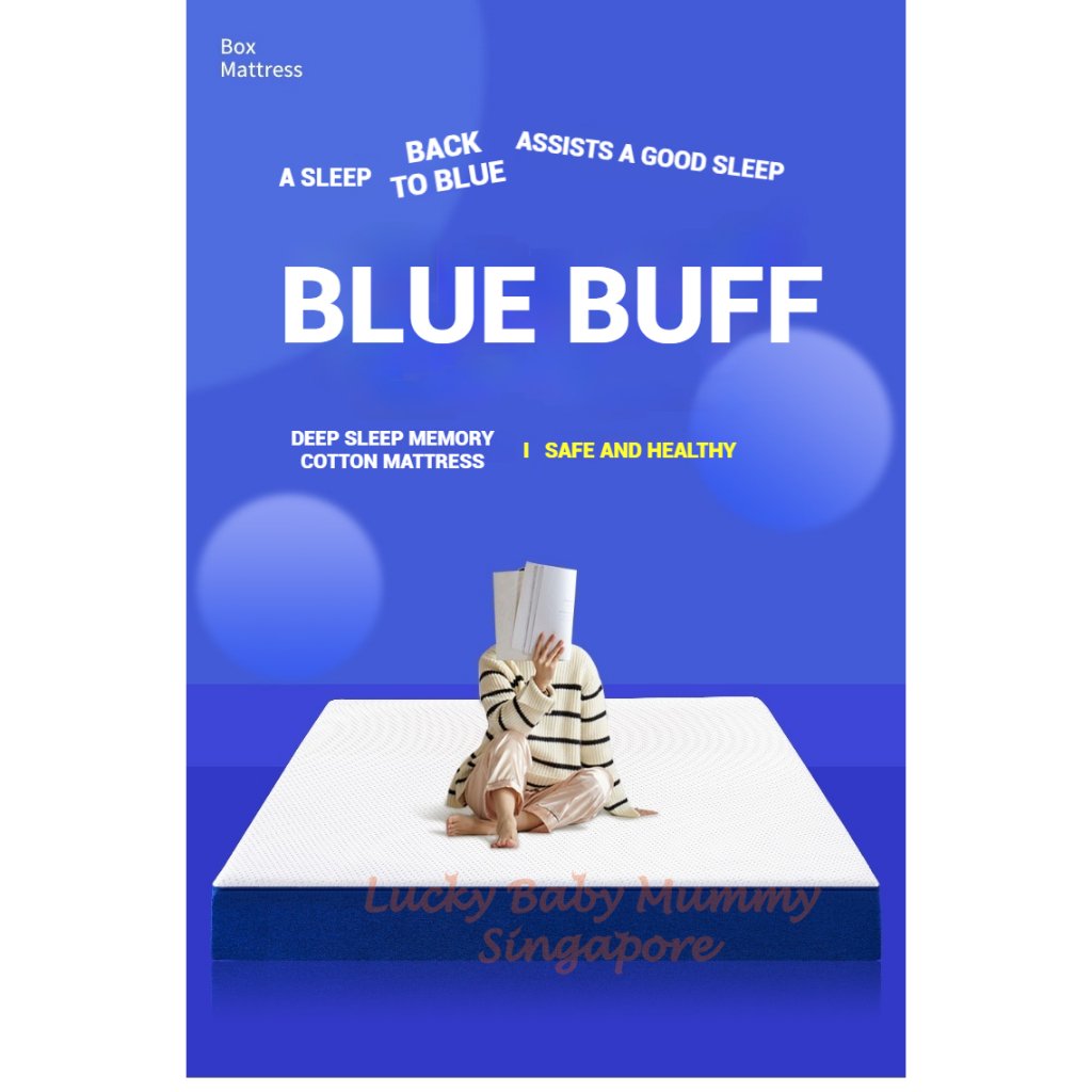 【CLEARANCE】Blue Box Spring Mattress