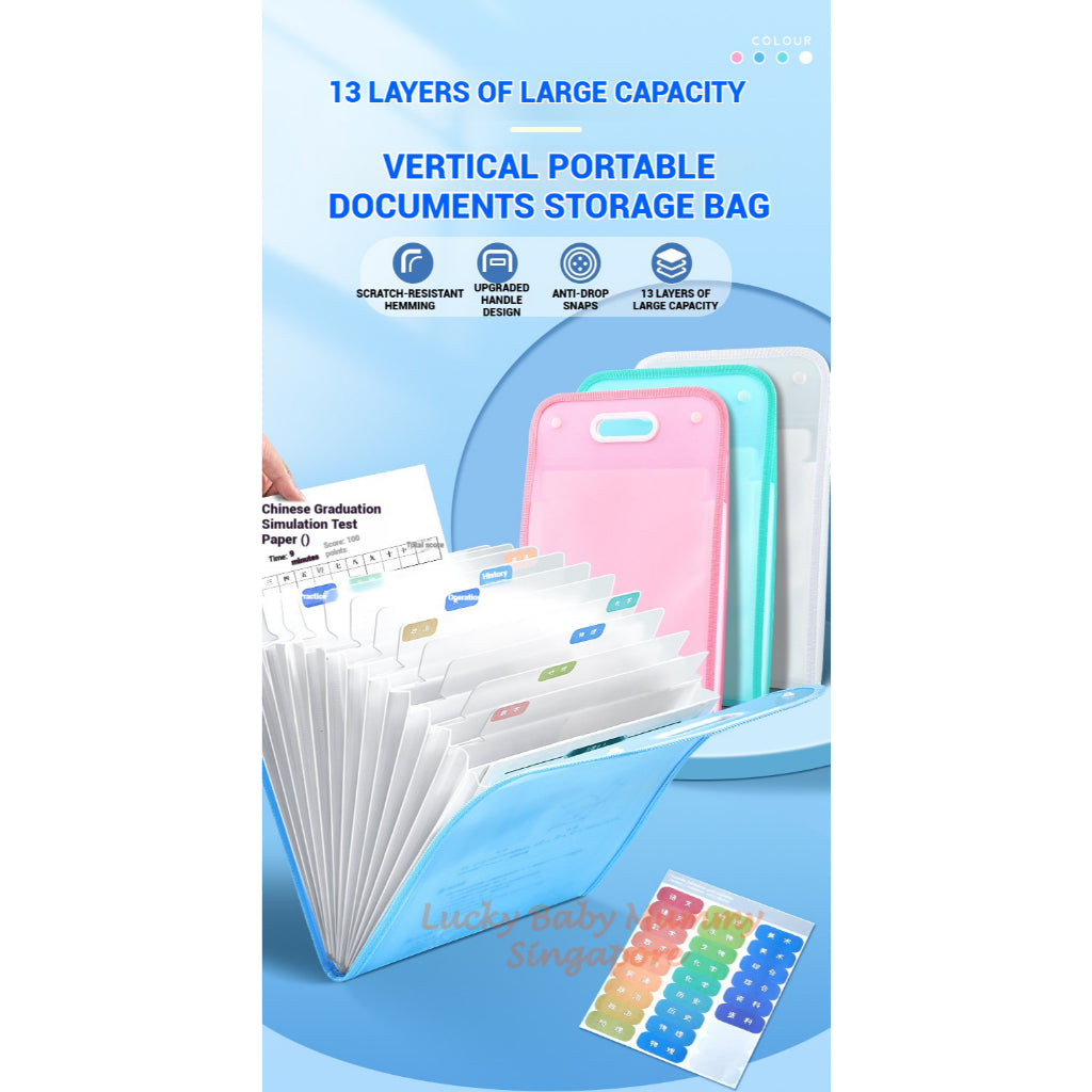 A4 File Organizer Bag