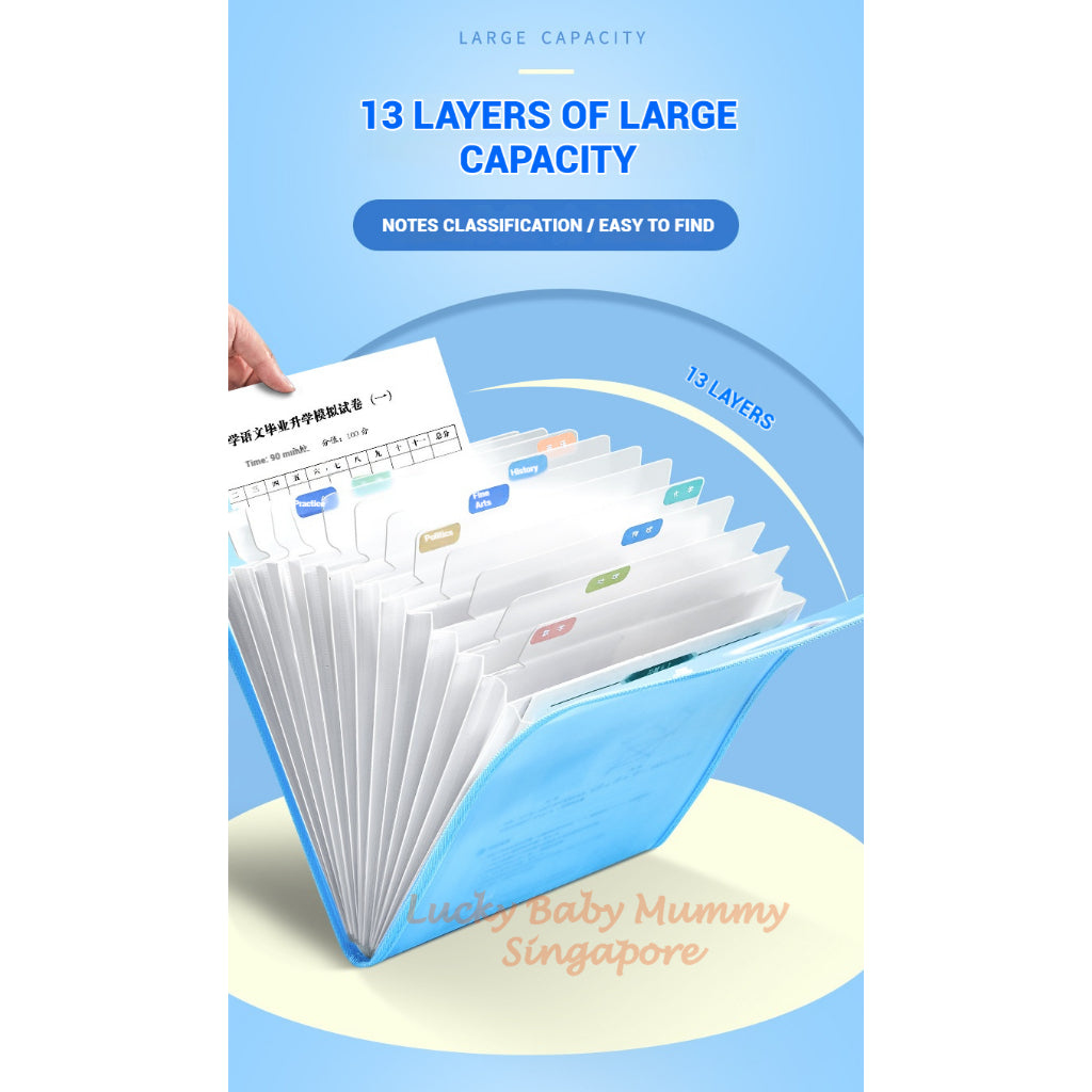 A4 File Organizer Bag