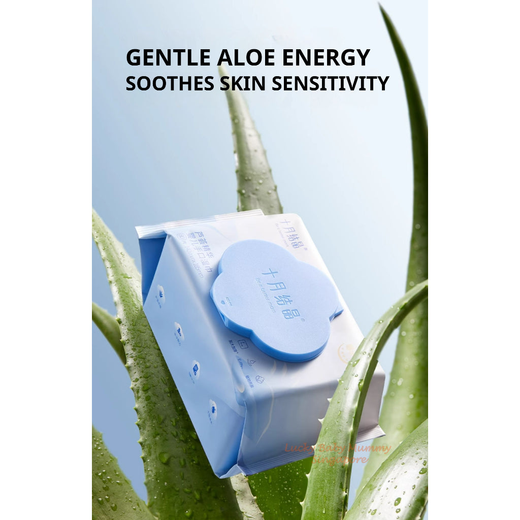 TEN-M JOURNEY Baby Wet Wipes 80 Sheets