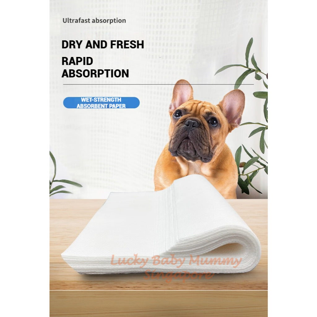 Pet Disposable Urine Absorbent Pads