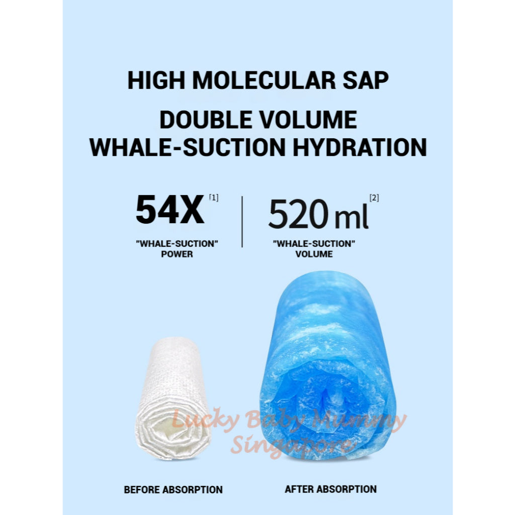 Pet Disposable Urine Absorbent Pads