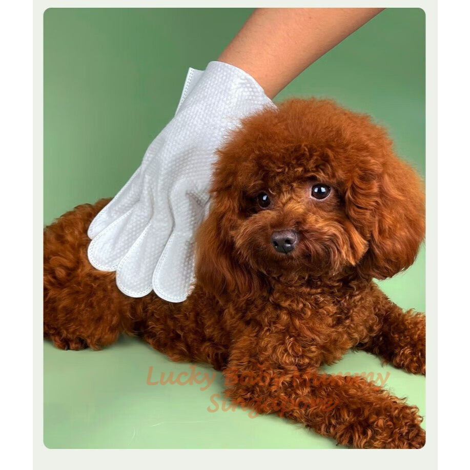 Pet Cleaning SPA Gloves