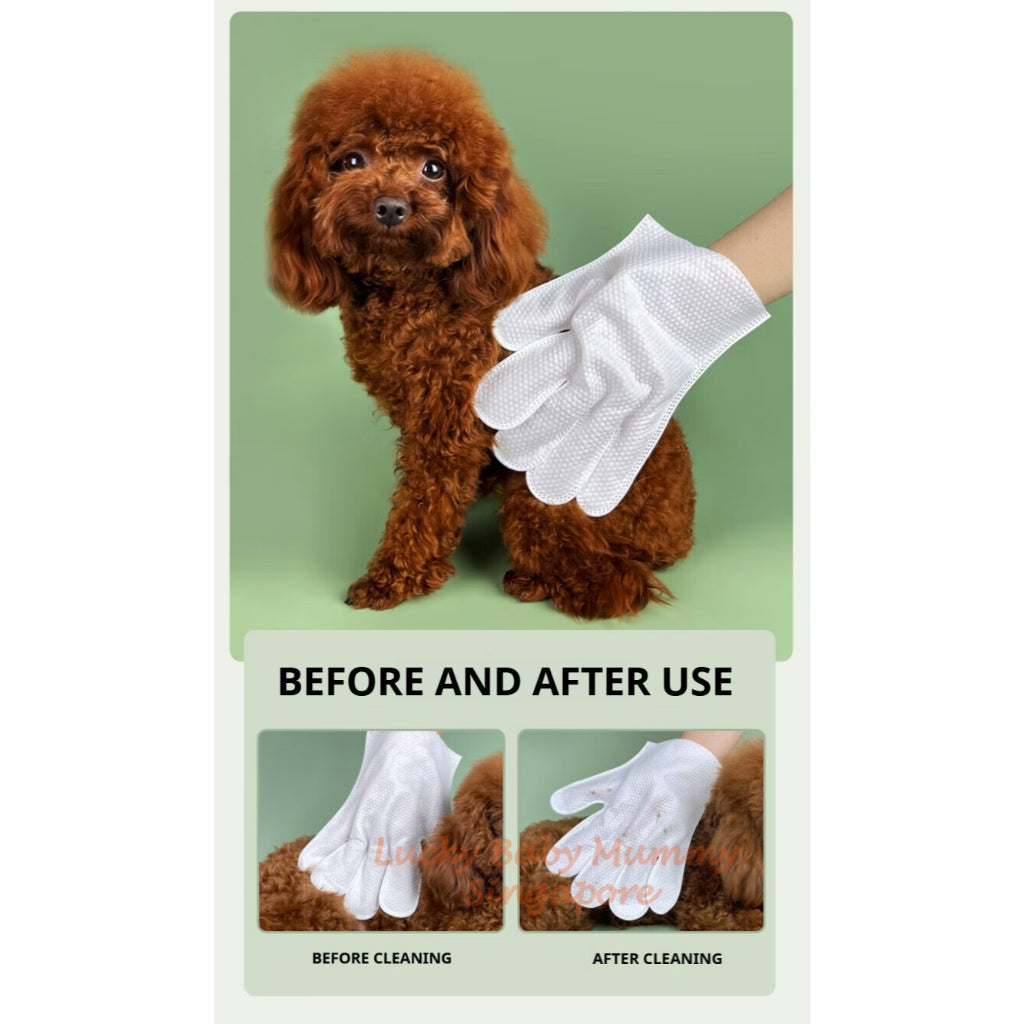 Pet Cleaning SPA Gloves
