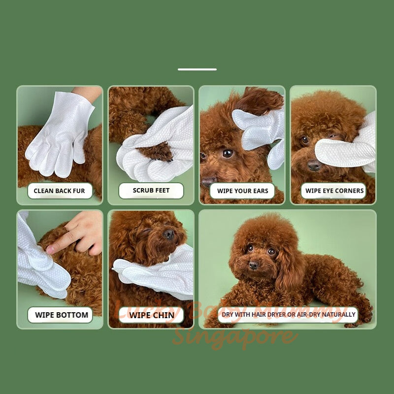Pet Cleaning SPA Gloves