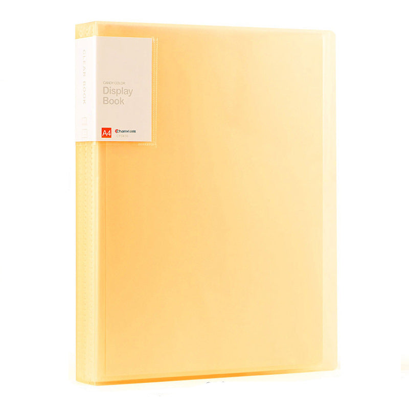 A4 Pocket Plastic File Folder